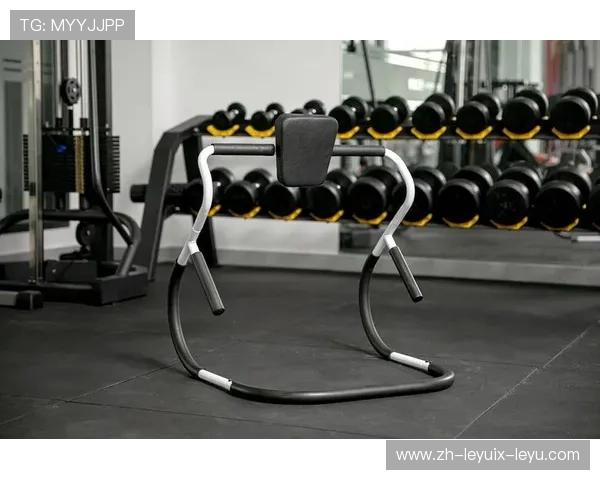 高端健身器材价格走势分析：如何合理选择性价比高的高端健身器材